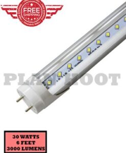 6 Feet 30W Clear T8