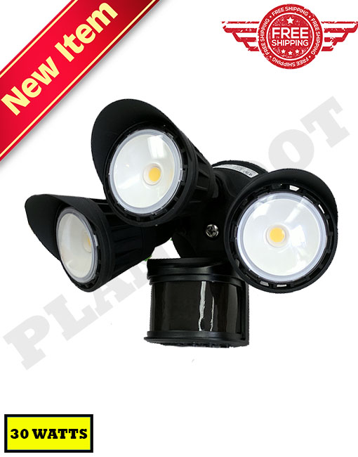 Motion Detecting Security Light - Black