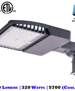 320 Watt Shoebox Light